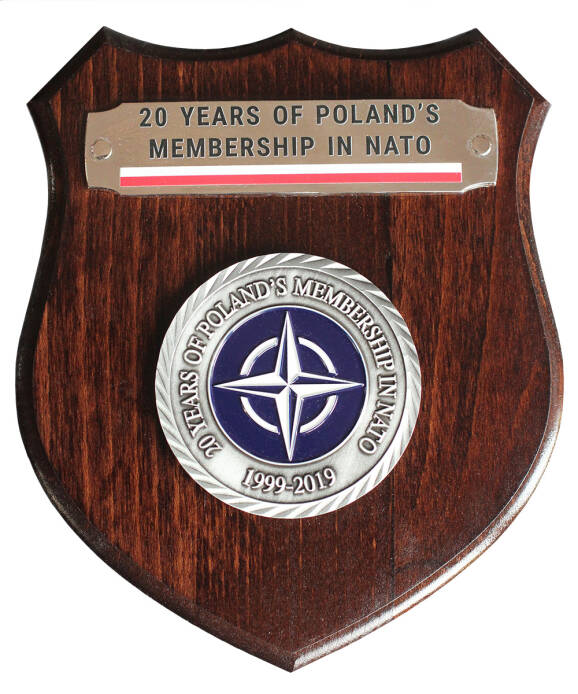 Ryngraf 20 Polski w NATO